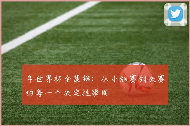 年世界杯全集锦:从小组赛到决赛的每一个决定性瞬间