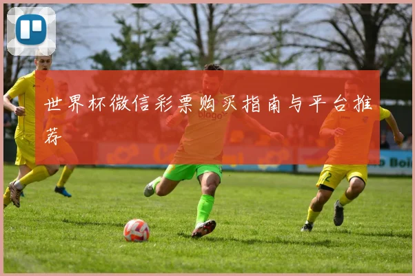 世界杯微信彩票购买指南与平台推荐