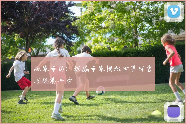 独家专访：权威专家揭秘世界杯官方观赛平台
