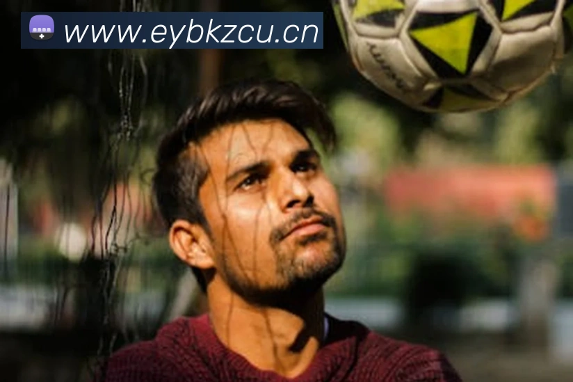 hth登录官网发展历程