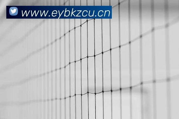 2020年足球世界杯赛程出炉：强队对阵时间与晋级路径分析